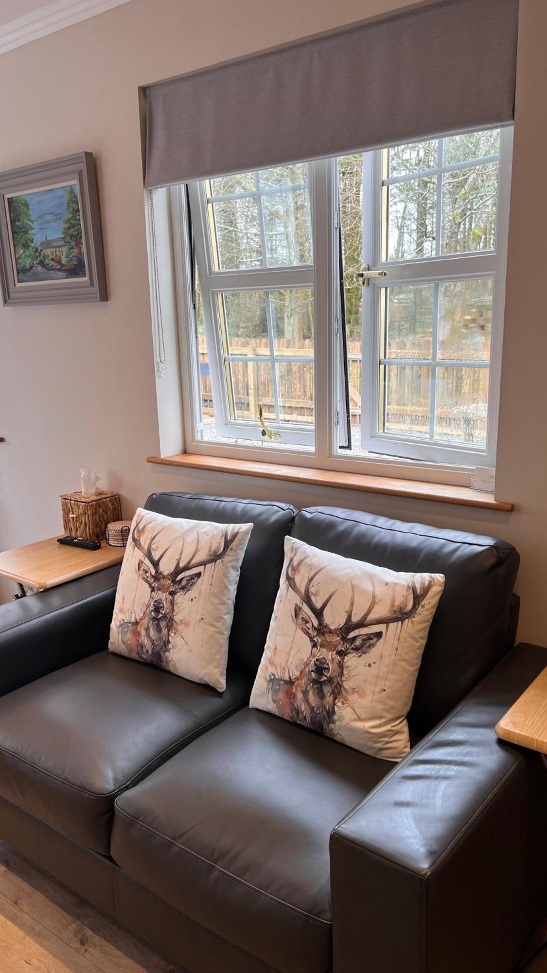 Wrens Nest Villa Нютън Стюарт Екстериор снимка